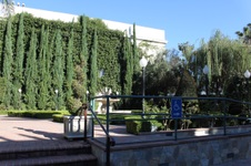 Enlarge photo 10