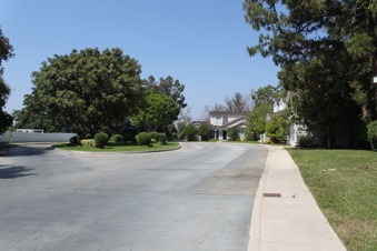 Enlarge photo 133