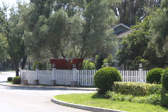 Enlarge photo 162