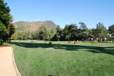 Enlarge photo 8