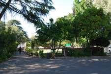 Enlarge photo 2
