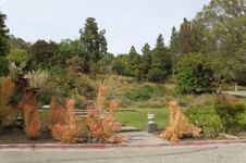 Enlarge photo 33