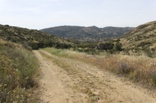 Enlarge photo 6
