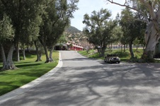Enlarge photo 16