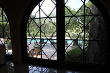 Enlarge photo 62