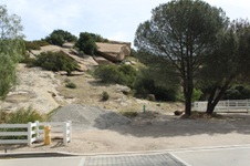 Enlarge photo 161