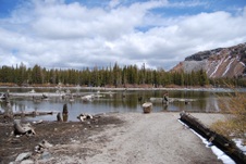 Enlarge photo 12