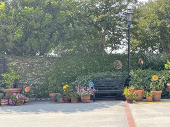Enlarge photo 2