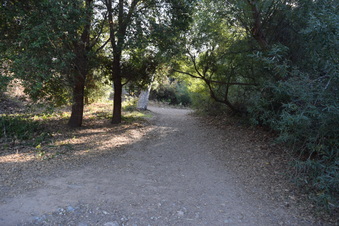 Enlarge photo 22