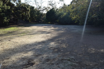 Enlarge photo 31