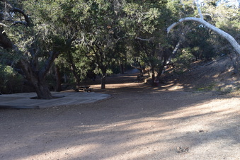 Enlarge photo 32
