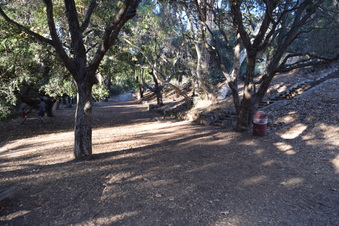 Enlarge photo 35
