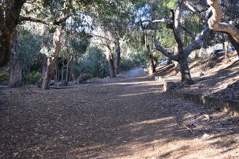 Enlarge photo 36