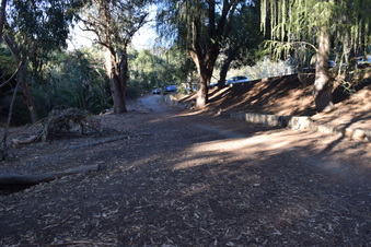 Enlarge photo 37