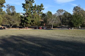 Enlarge photo 45