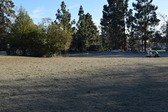 Enlarge photo 47
