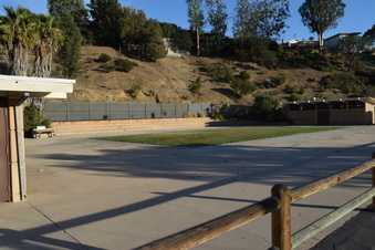 Enlarge photo 49