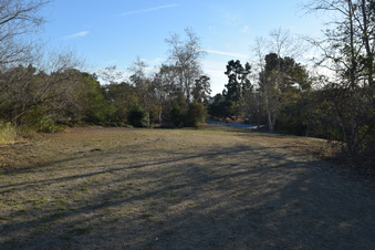 Enlarge photo 67