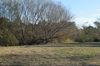 Enlarge photo 79