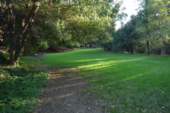 Enlarge photo 81