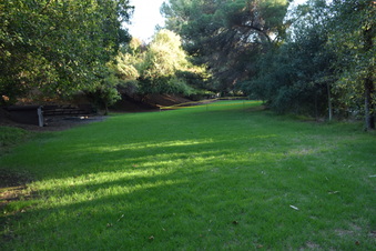 Enlarge photo 82