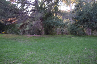 Enlarge photo 85
