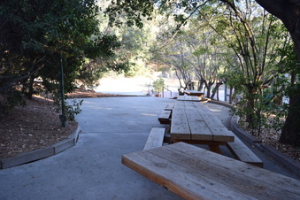 Enlarge photo 91