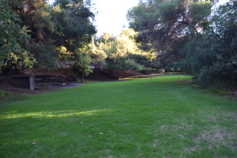 Enlarge photo 98