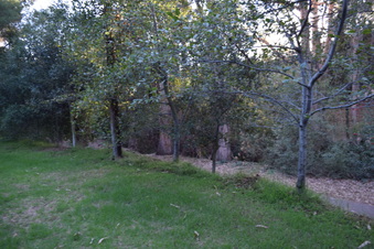 Enlarge photo 99