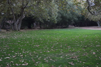 Enlarge photo 109