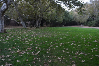 Enlarge photo 110