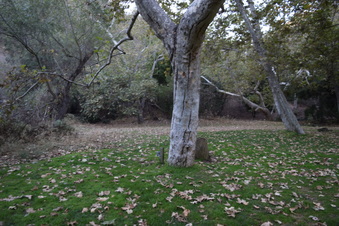 Enlarge photo 111