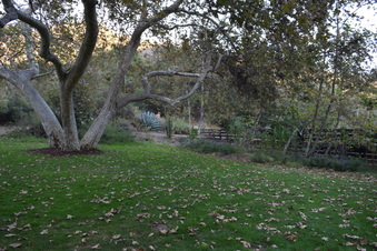 Enlarge photo 116