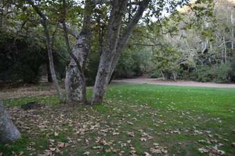 Enlarge photo 117