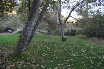 Enlarge photo 120