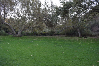 Enlarge photo 129