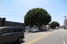 Enlarge photo 6
