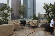 Enlarge photo 46