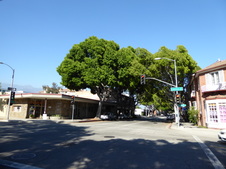 Enlarge photo 2