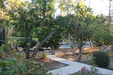 Enlarge photo 18