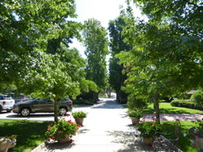 Enlarge photo 7