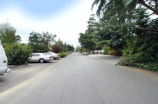 Enlarge photo 47