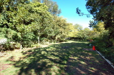 Enlarge photo 113