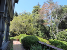 Enlarge photo 32