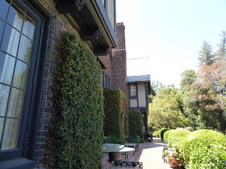 Enlarge photo 34