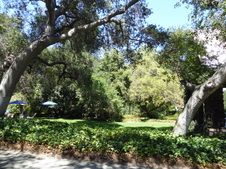 Enlarge photo 35
