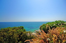 Enlarge photo 31