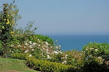 Enlarge photo 36
