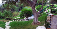 Enlarge photo 61
