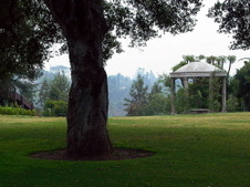 Enlarge photo 75